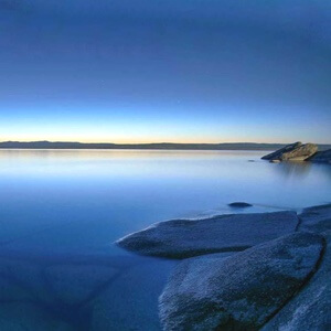 腐海无涯回收站