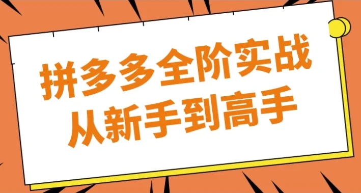 拼多多全阶实战:从新手到高手课程