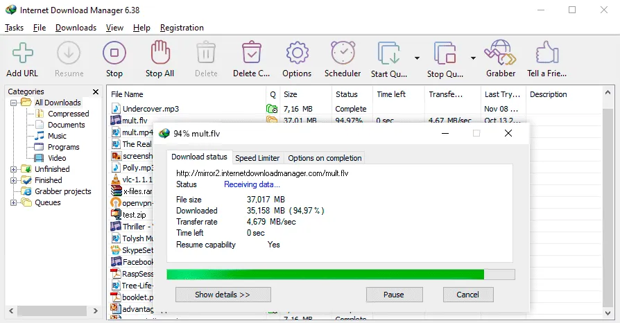 Internet Download Manager 6.42.11中文特别版:强大下载工具