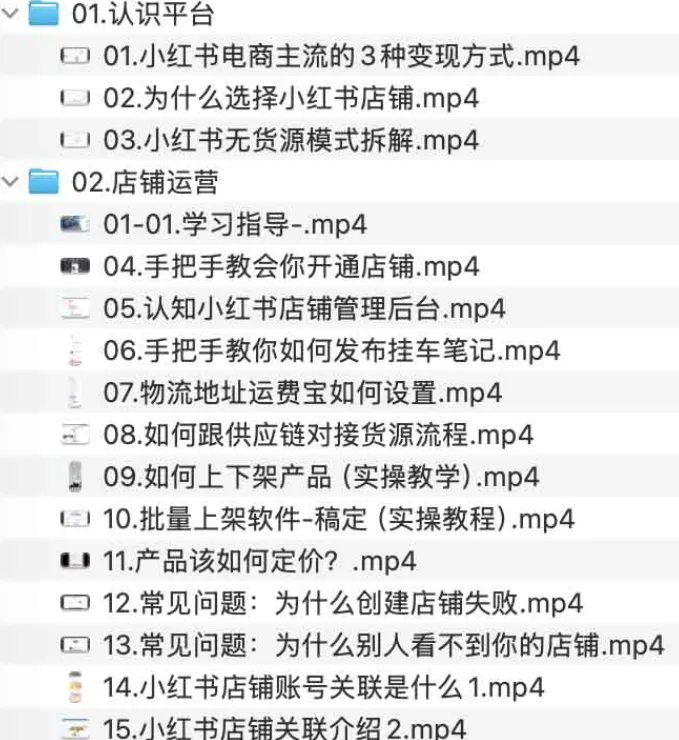 小红书电商店铺运营全流程实操课程