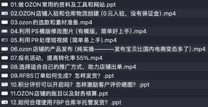 俄罗斯OZON跨境电商运营实战课：快速开拓俄罗斯市场全攻略