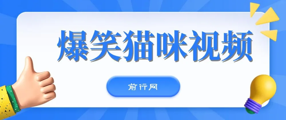 爆笑猫咪视频:视频号搞钱策略课程