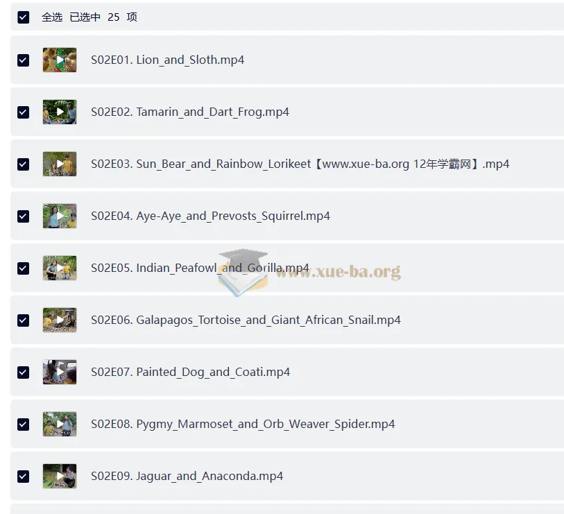 BBC儿童英文节目《Go Wild》:户外自然科普视听盛宴