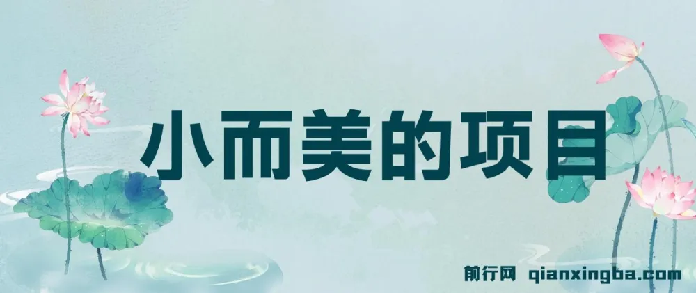 视频点赞赚钱项目：轻松获利指南