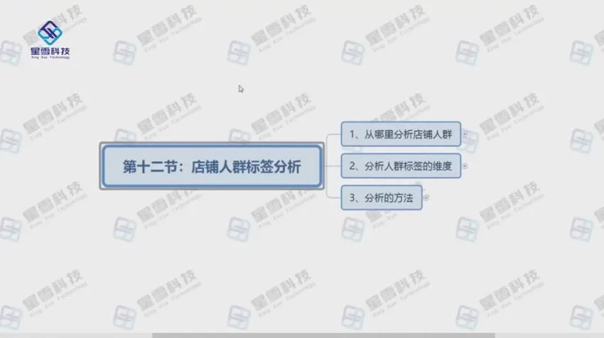 淘系电商运营实战课程:搜索入池至全店动销