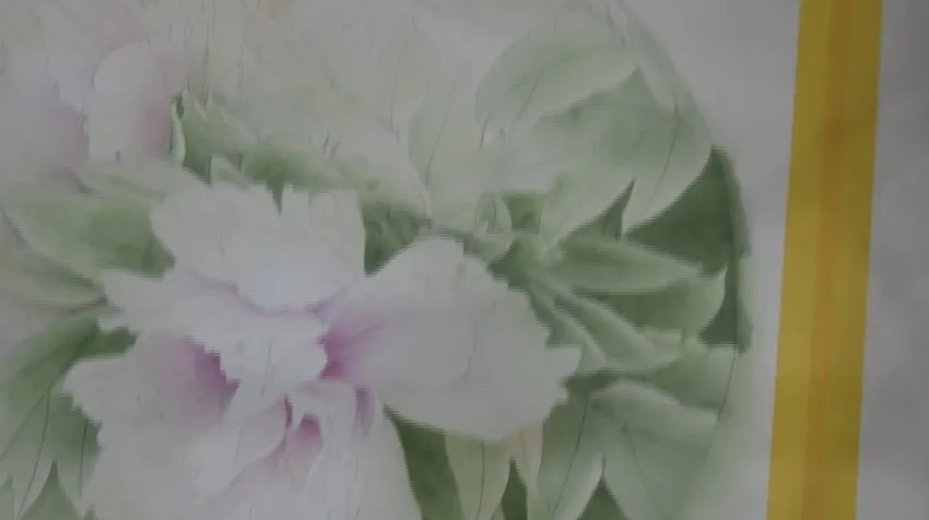 龚雪青亲授工笔牡丹《牡丹小晴》3讲课程