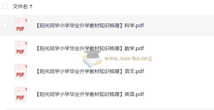阳光同学小学毕业升学 小升初 教材知识梳理