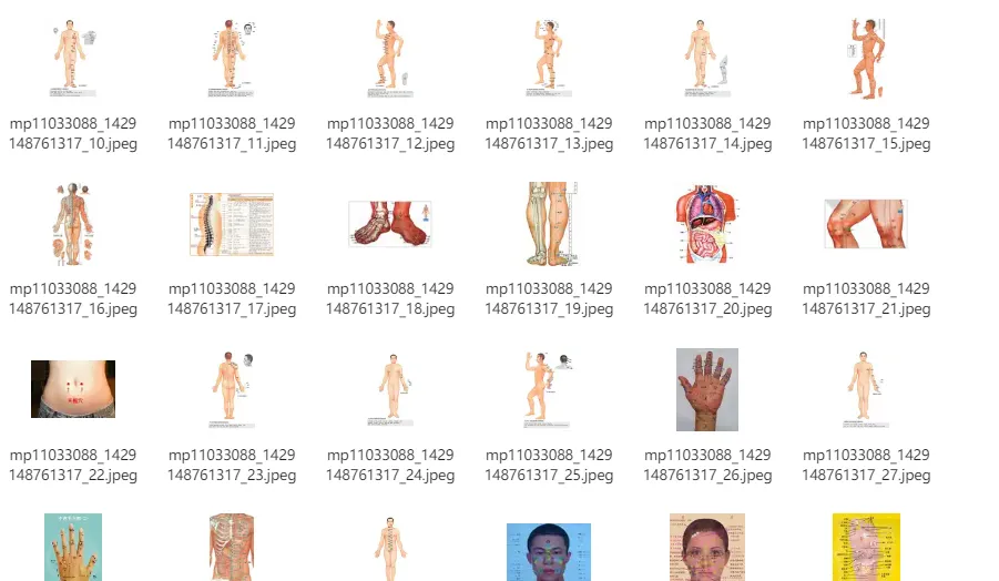 人体穴位图及穴位图解大全