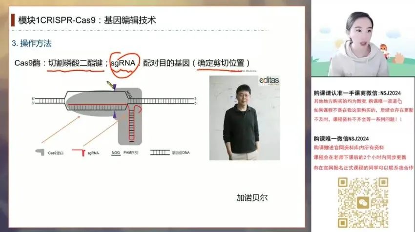 2024高考马阳洋生物二轮冲刺班:稳态与生态专题