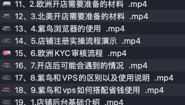 亚马逊跟卖实战:零基础跨境开店实操课程