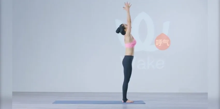 王媛24式瑜伽体式精讲：零基础入门