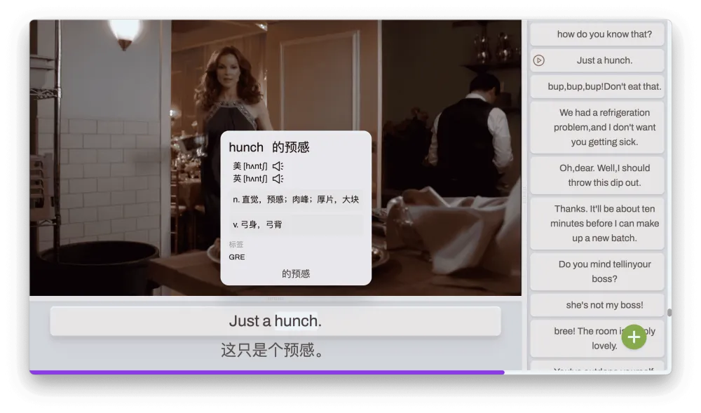 DashPlayer 视频播放器：助力英语学习的实用工具