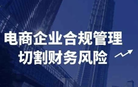 电商企业合规管理：切割财务风险课程
