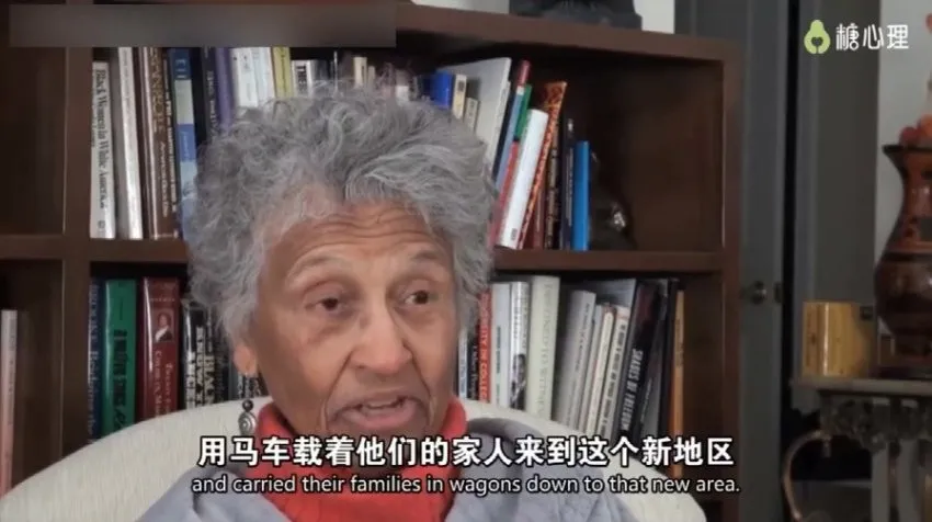 糖心理《跟创始人学家谱图：家谱图的绘制及应用》21讲视频课程