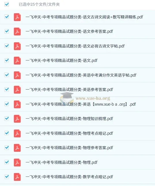 一飞冲天中考专项精品试题分类（2024 - 2026版）