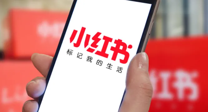 97节小红书VIP内部课：全面解析小红书电商运营