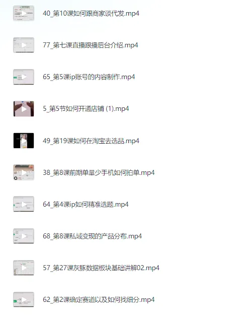 97节小红书VIP内部课：全面解析小红书电商运营