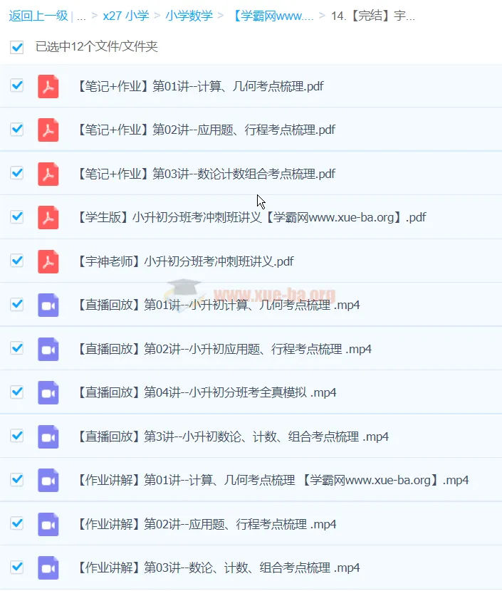 宇神小升初分班考冲刺班（完结）