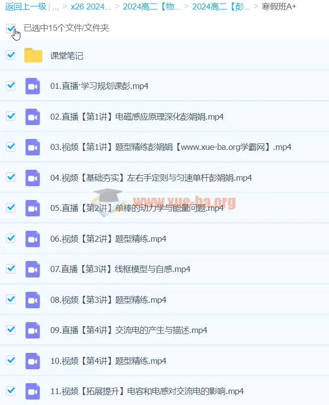 彭娟娟2024高二物理A+寒假班