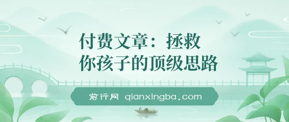 付费文章：《拯救你孩子的顶级思路：聊透学业、事业与未来》