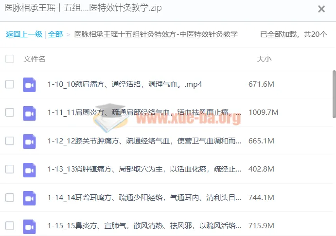 医脉相承：王瑶十五组针灸特效方 中医特效针灸教学课程
