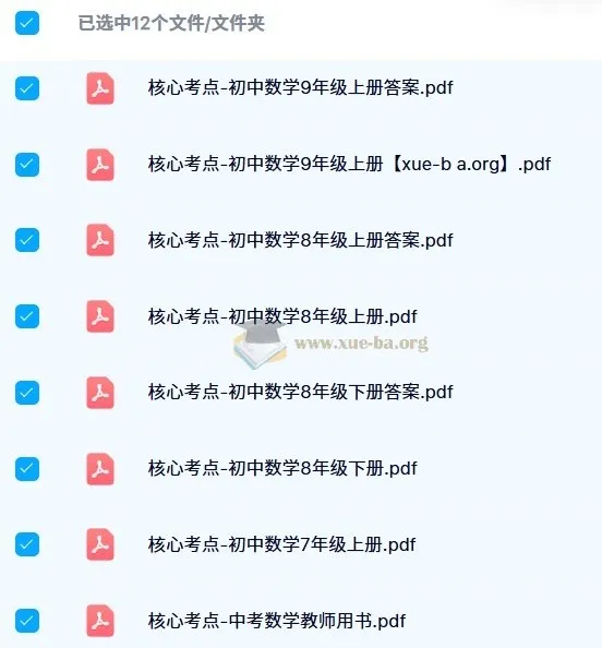 《核心考点:初中数学》