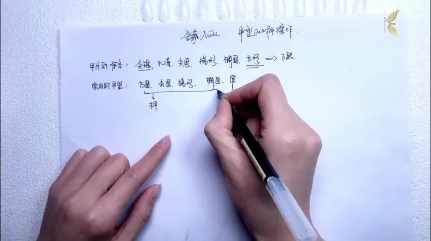 金菲美甲全科班：从零基础到高级技法的全面教程