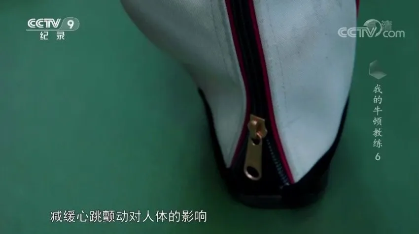 儿童物理启蒙佳作：《我的牛顿教练》全解析