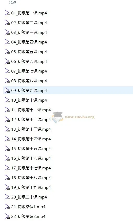 中央音乐学院初级音基考试视频课程：助力音乐基础素养提升