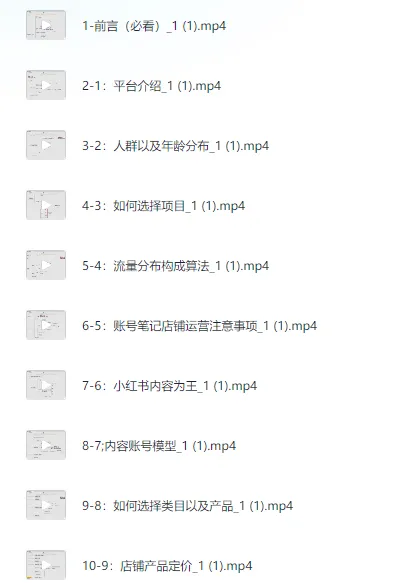 小红书电商实战保姆级教程：从小白到精英的进阶指南