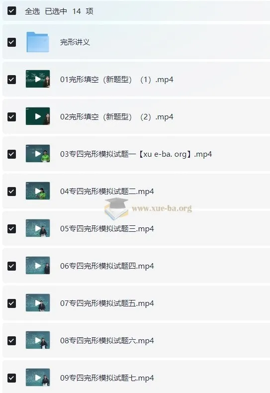 周洁2024年大学英语专业四级专四完型课程