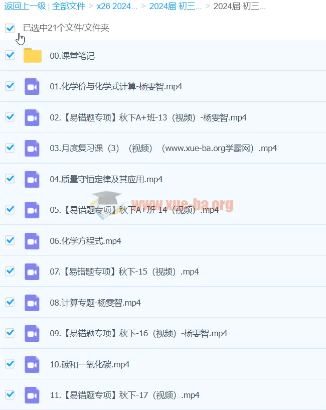 2024初三中考化学杨雯智A+秋季班（下）