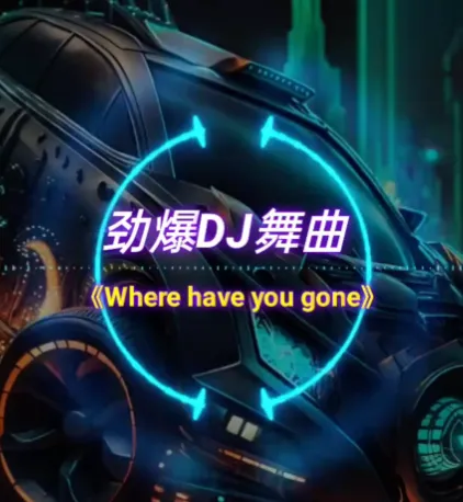 2025年车载必备：326首抖音精选DJ嗨曲合集，劲爆热辣