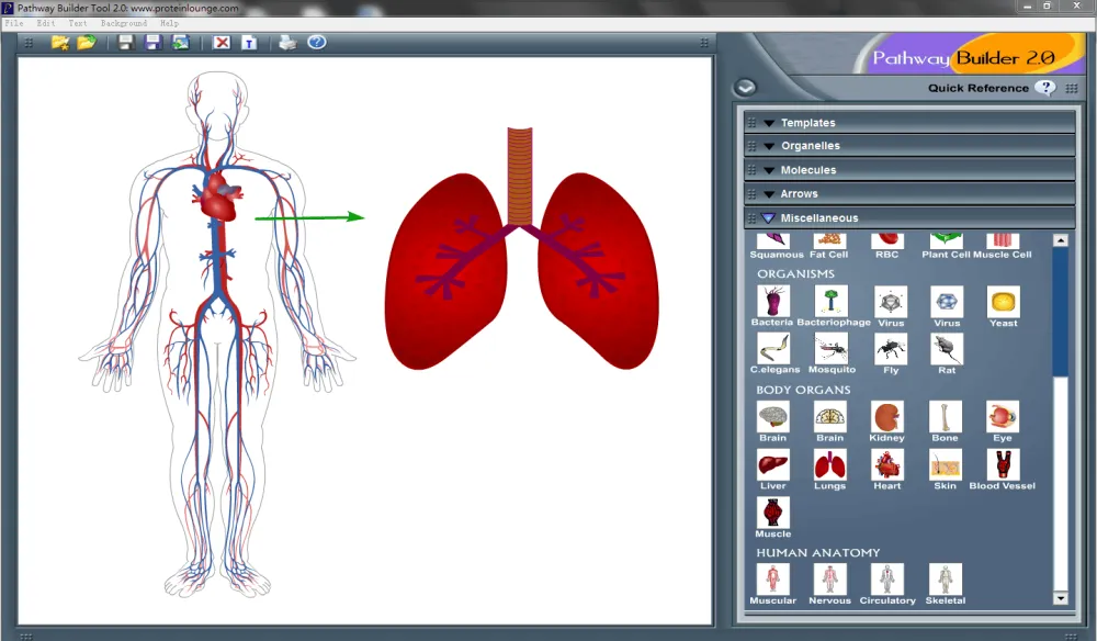 信号通路绘图工具Pathway Builder Tool(PBT)