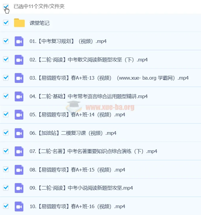 杨荷 2024 初三中考语文 A+春季班(下)视频课程