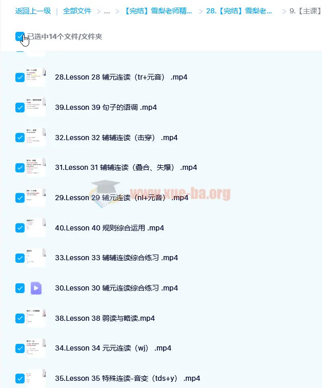 雪梨老师英语精品三合一课程