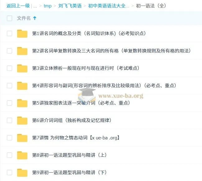 刘飞飞初中英语初一初二初三语法大全课程