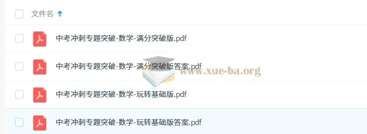 中考冲刺专题突破：数学（玩转基础版+满分突破版）