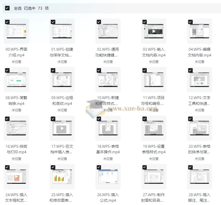 WPS全套教程合集：助力小白秒变高手，打工人必备