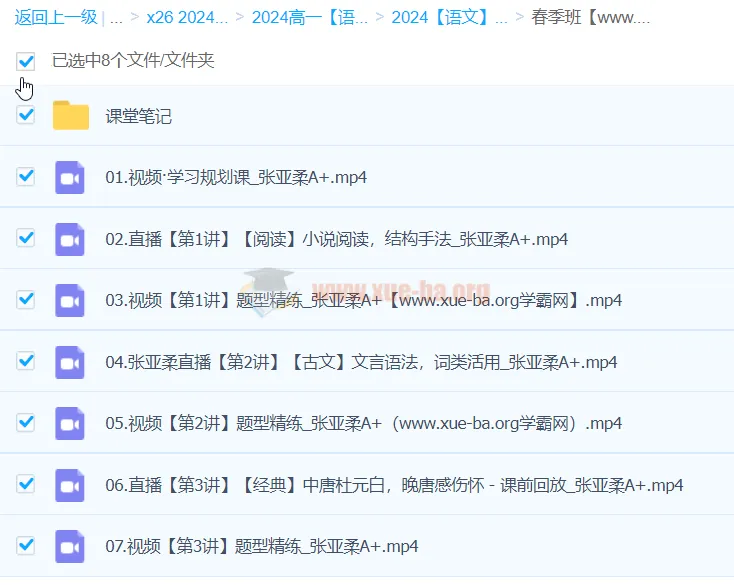 2024年高一张亚柔语文春季班课程