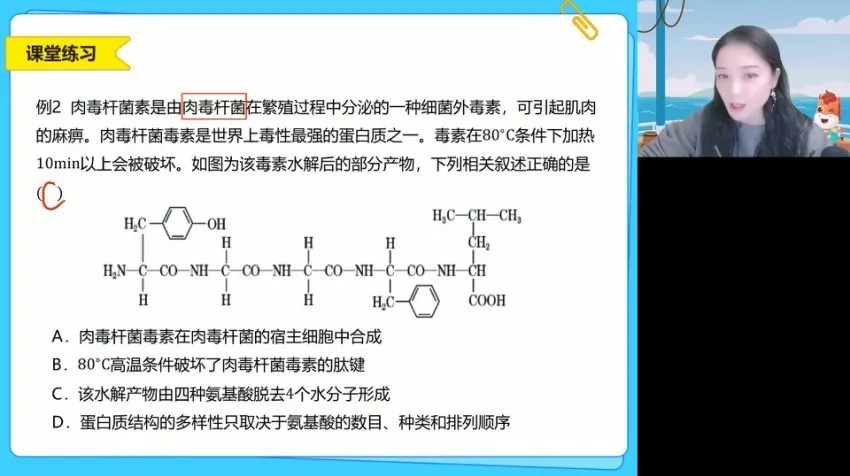 2025高一段瑞莹生物必修一系统精讲班：细胞结构与功能全突破