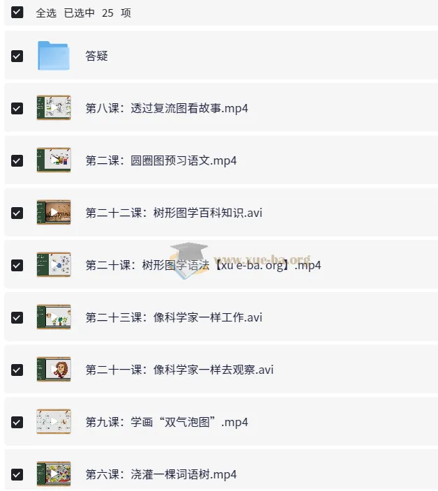 凯叔《孩子需要学会的思维导图课》