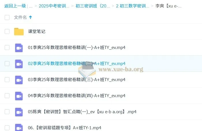 李爽 2025 初三数学中考数学密训班