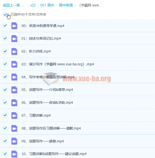 树成林雨君老师 2022高考英语冲刺48讲课程