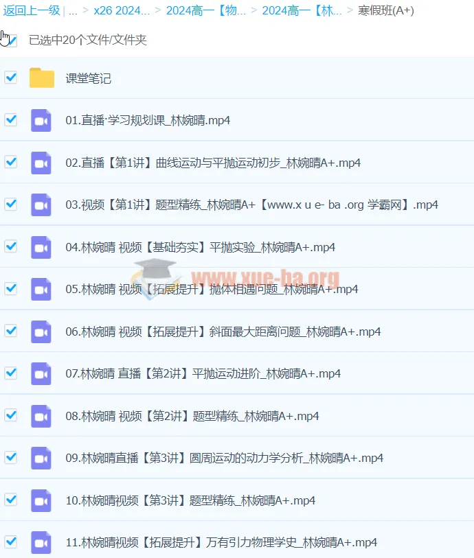 2024高一林婉晴物理寒假班（A+）