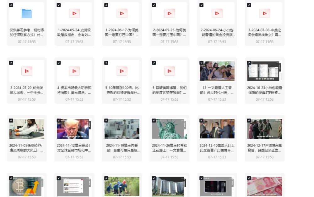 《柏林说：世界形势大观 2025 视频合集》