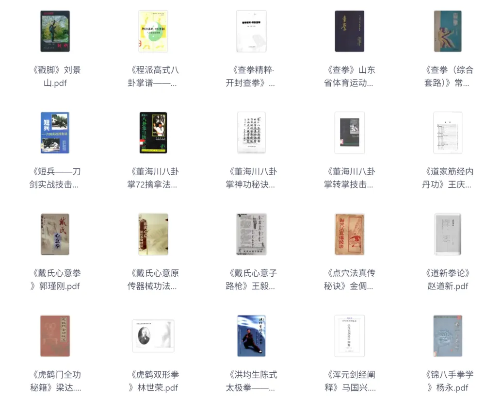 武术类书籍与电子书合集