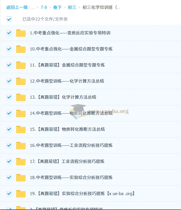 2025陈潭飞初三化学中考化学培训班（春下·全国版·A+）