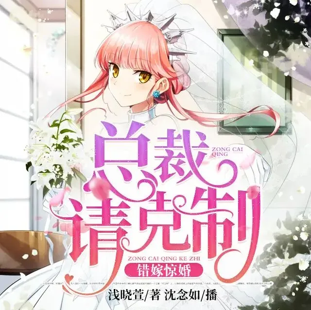 《错嫁惊婚：总裁请克制》有声小说 双播：沈念如、云天河 全871集完结