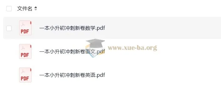 《一本小升初冲刺新卷》:助力小升初备考